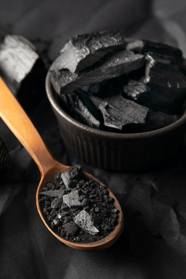 Shilajit – das „schwarze Gold“ aus dem Himalaya